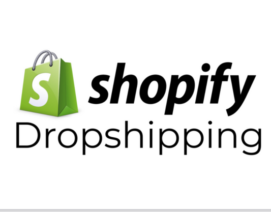 Shopify Dropshipping x TikTok Marketing Complete Course